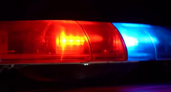 Police Open Fire on Cattle Smuggling Lorry